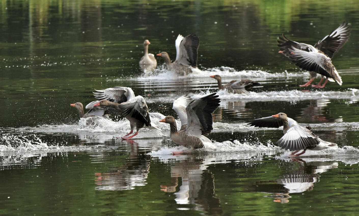 conversionsoptimierte Landingpages